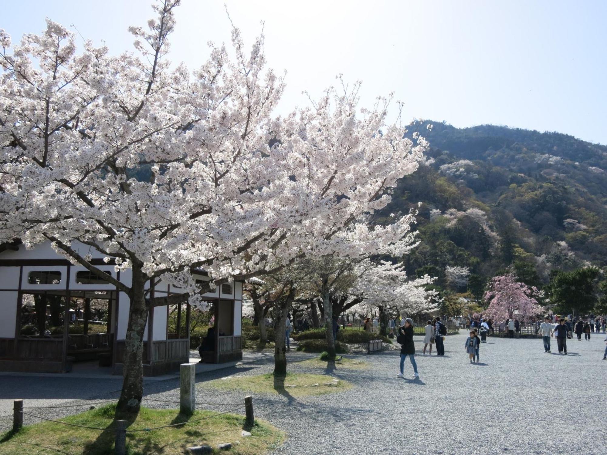 אפרטהוטל קיוטו The Grandwest Arashiyama מראה חיצוני תמונה